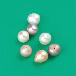 Fresh Water Pearls - 7-8mm - Cream