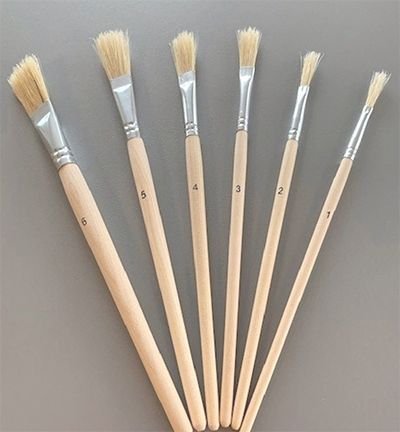 Bristle Brush Set - 6 Different Sizes