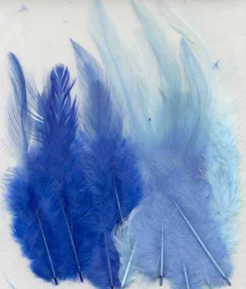 Feathers - Blue - 9-15cm - 15pcs