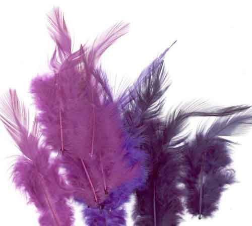 Feathers - Purple - 9-15cm - 15pcs