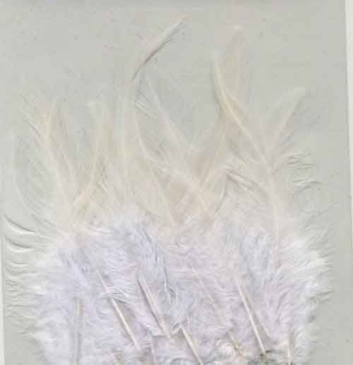 Feathers - White - 9-15cm - 15pcs