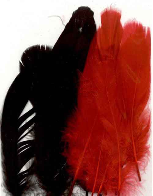 Feathers - Gala - 12,5-17,5cm - 15pcs