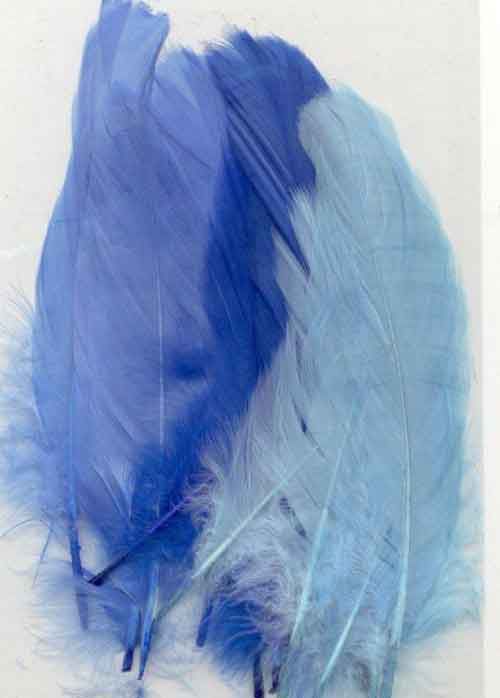 Feathers - Blue - 12,5-17,5cm - 15pcs