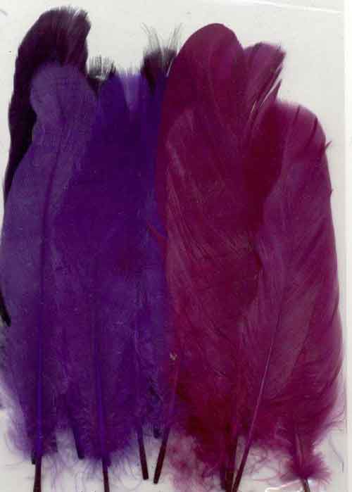 Federn -  Violett  - 12,5-17,5cm -15 Stück