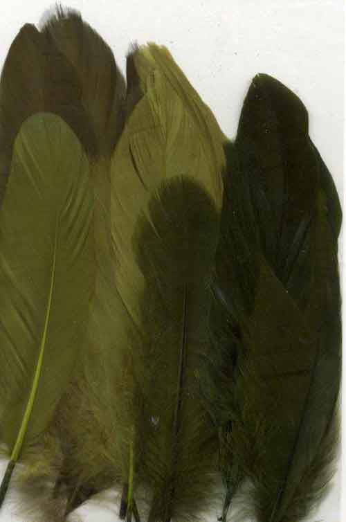 Feathers - Green - 12,5-17,5cm - 15pcs