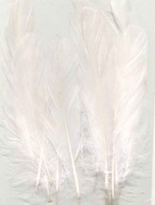 Feathers - White - 12,5-17,5cm - 15pcs