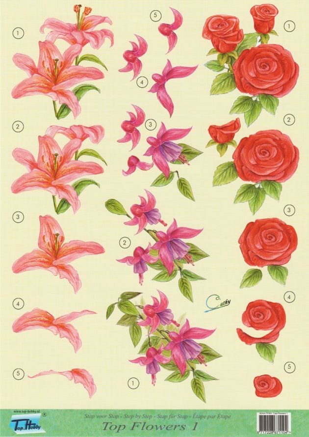 Top Flowers - 3DA4 Step by Step Decoupage Sheet