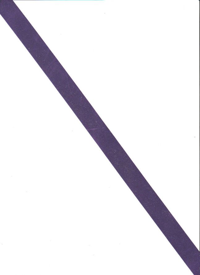 Ribbon - Purple